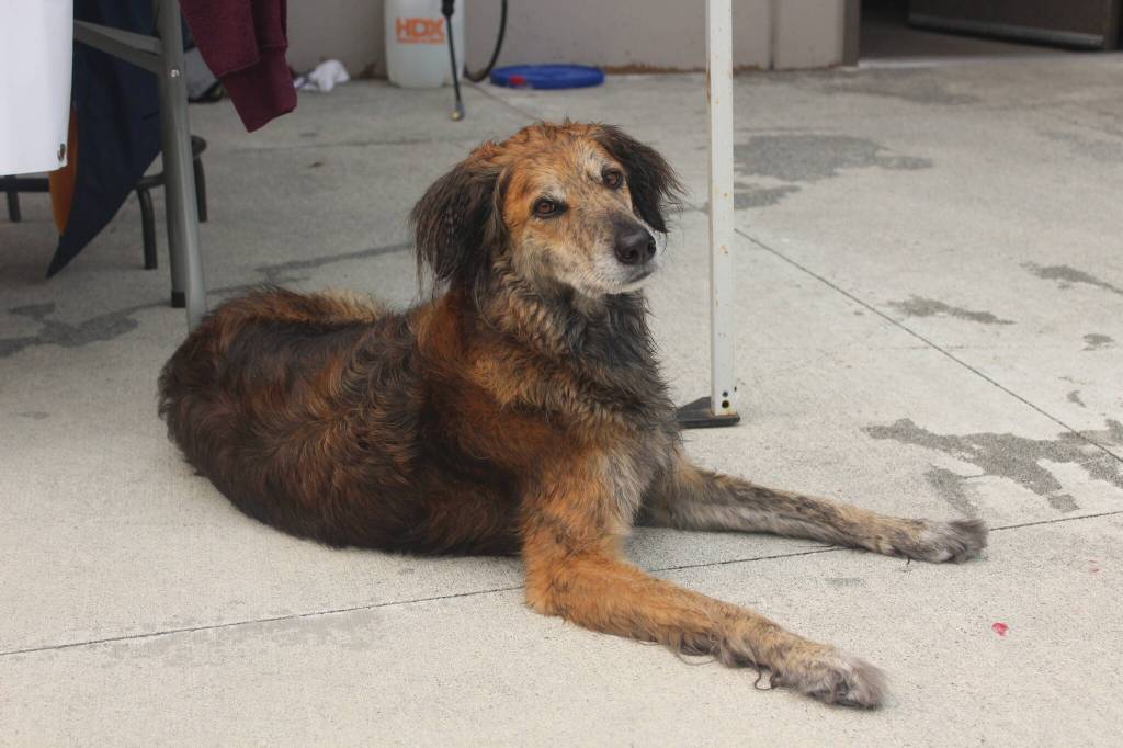 Photo by Bailey Jo Josie/Sound Publishing.