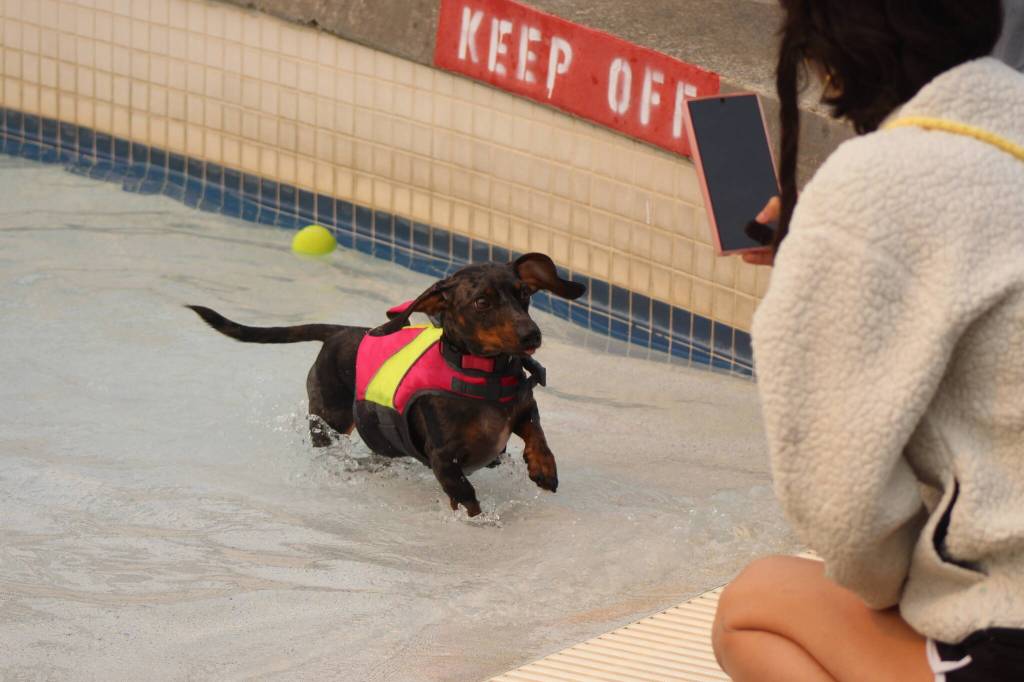 Photo by Bailey Jo Josie/Sound Publishing.