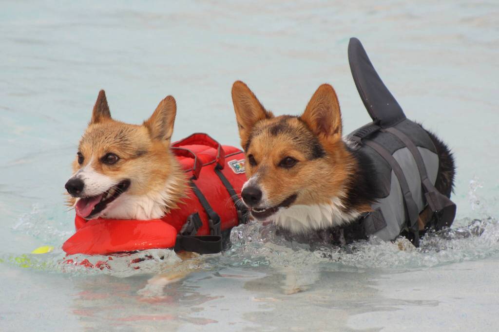 Photo by Bailey Jo Josie/Sound Publishing.