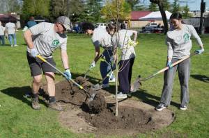 Volunteers plant a tree during the City of Rentons 2024 Arbor Day/Earth Day and Renton Community Celebration. Courtesy Photo
