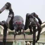 Photo by Bailey Jo Josie/Sound Publishing.