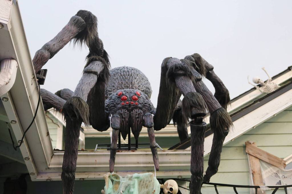 Photo by Bailey Jo Josie/Sound Publishing.