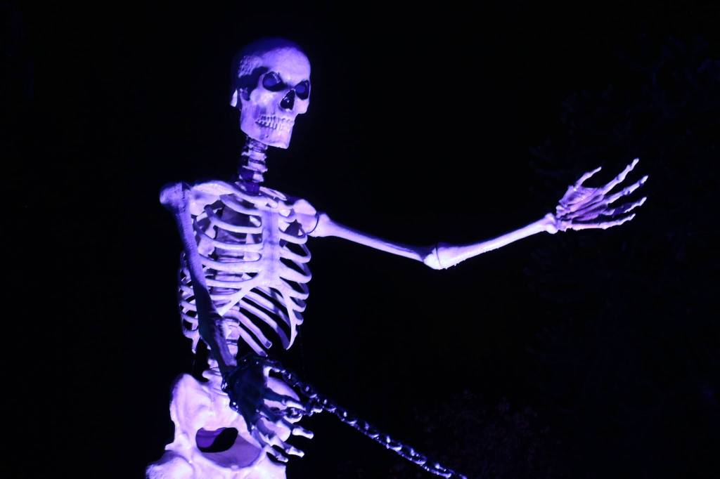 Photo by Bailey Jo Josie/Sound Publishing.