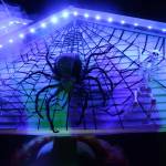 Photo by Bailey Jo Josie/Sound Publishing.