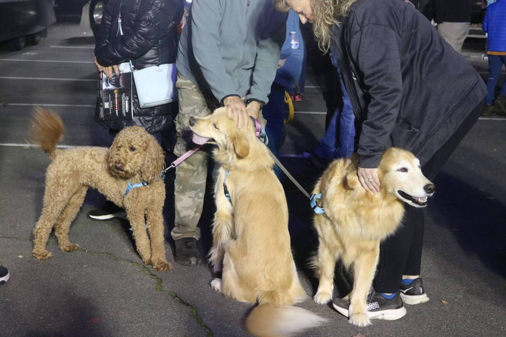 Even dogs joined in on the festivities. Photo by Bailey Jo Josie/Sound Publishing.