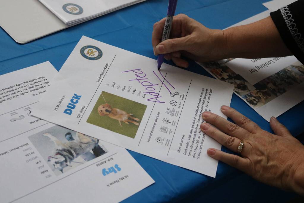 Duck is officially adopted by the Holmens.