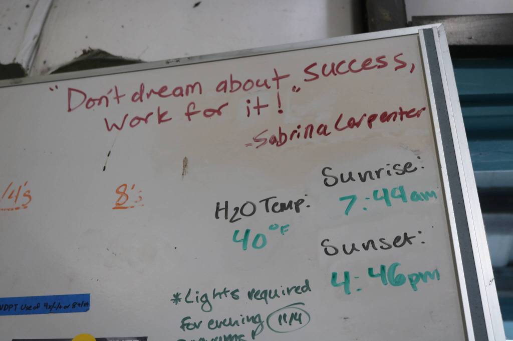 Photo by Bailey Jo Josie/Sound Publishing.