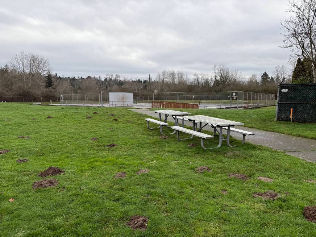 Talbot Hill Reservoir Park is located at 710 S. 19th St. in Renton. Photo by Drew Dotson/ Sound Publishing
