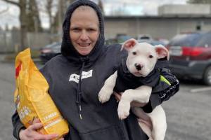 The monthly veterinary clinic at the Renton Library provides services and pet food for local pets in need. Photo courtesy of Washington Health Outreach