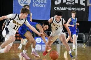 Libertys Denali Hatcher dives after a loose ball. Ben Ray / The Reporter