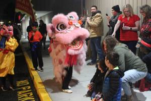 The Golden Peacock in Renton recently celebrated its 45th anniversary and hosted a special community event that included a traditional Lion Dance. Photo by Bailey Jo Josie/Sound Publishing