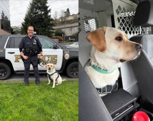 Renton Police Department officer Jeff Myers and therapy K9 Wally. Courtesy photo.