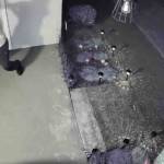 One of the suspects attempting to rip off the Vegas pride flag. Courtesy photos