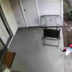 The Vegas flag being stolen in 2023. Courtesy photo.