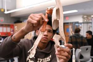 A Career and Technical Education (CTE) student in the Renton School District learns about human anatomy. CTE courses will be affected by the tight 2025-2026 school budget. Courtesy photo.