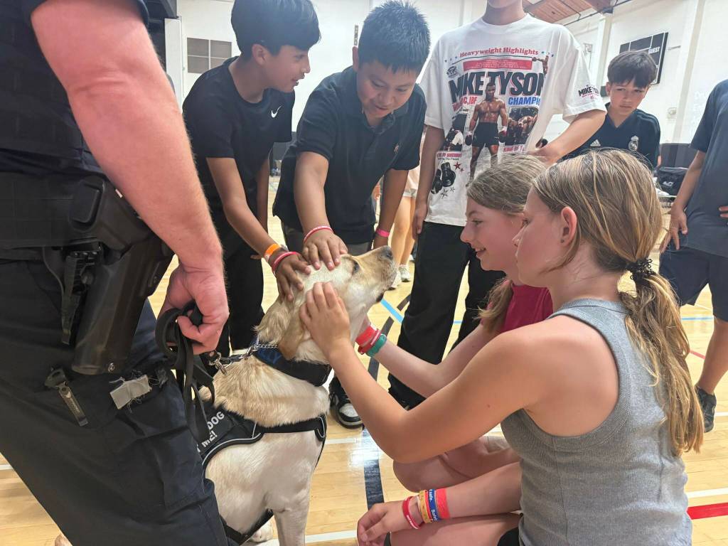 Multiple kids petting Renton police K9, Wally. Courtesy photo.