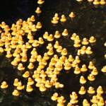 Photo by Bailey Jo Josie/Sound Publishing