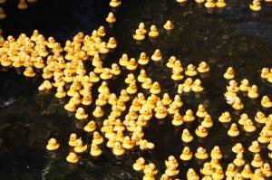 Photo by Bailey Jo Josie/Sound Publishing