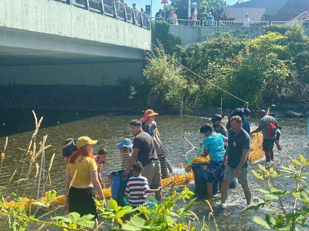 Photo by Perris Larson/For the Reporter