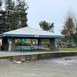 The city has placed a plywood barrier to slow down further erosion to the retaining wall. Photo provided by the city of Renton