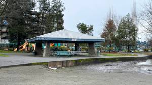 The city has placed a plywood barrier to slow down further erosion to the retaining wall. Photo provided by the city of Renton