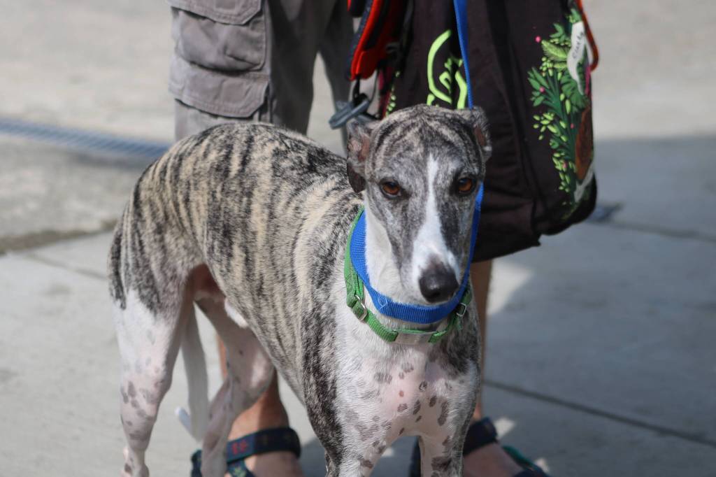 Photo by Bailey Jo Josie/Sound Publishing