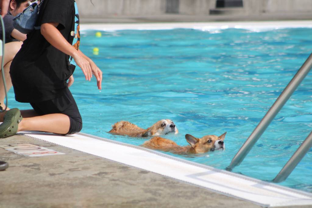 Photo by Bailey Jo Josie/Sound Publishing