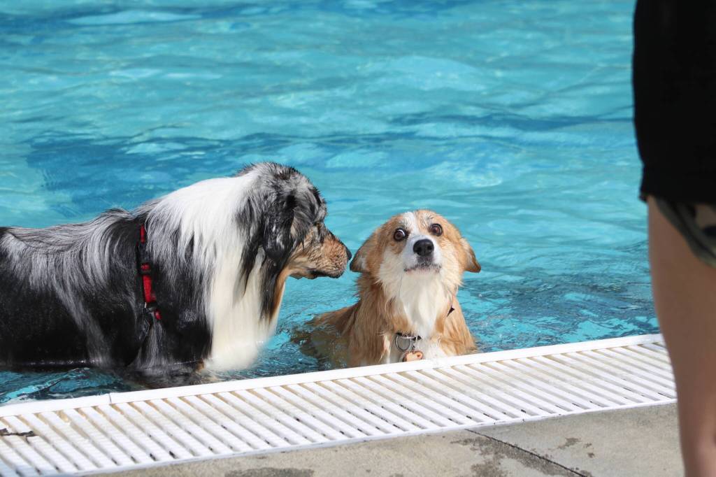 Photo by Bailey Jo Josie/Sound Publishing