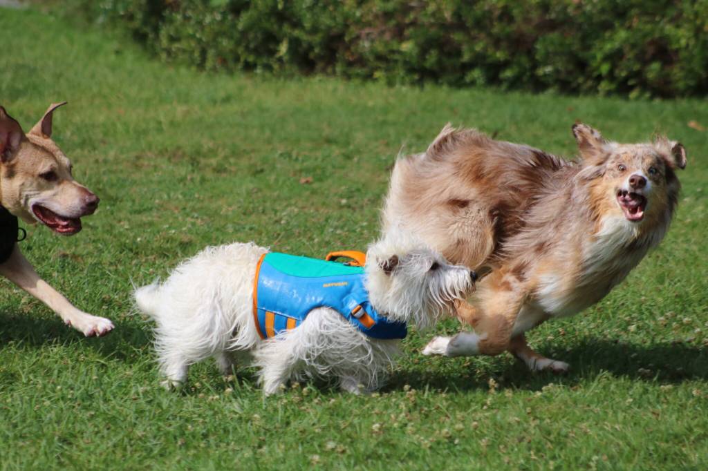 Photo by Bailey Jo Josie/Sound Publishing