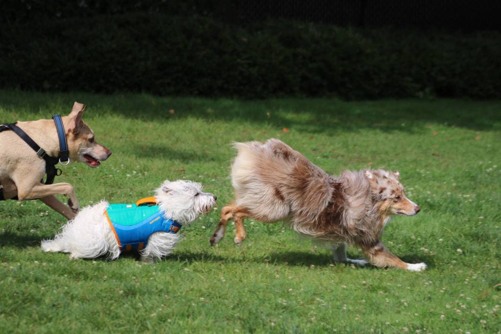 Photo by Bailey Jo Josie/Sound Publishing