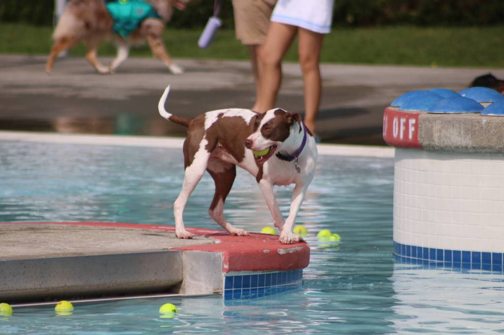 Photo by Bailey Jo Josie/Sound Publishing