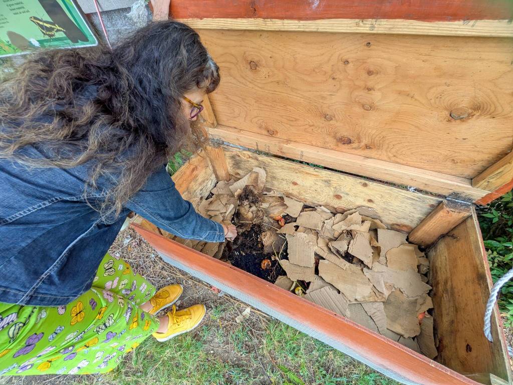 Candida Goza shows how worms turn compost into soil for the garden. Photo by Bailey Jo Josie/Sound Publishing
