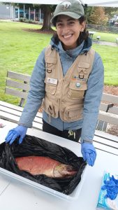 The Cedar River Salmon Festival returns Saturday, Oct. 11, along with the annual Salmon SEEson viewing along the Cedar River in Renton. Photo by Bailey Jo Josie/Sound Publishing