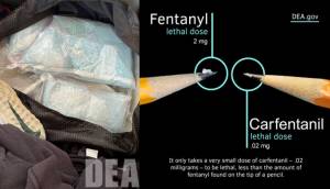 Photo from the seizure and a photo showing carfentanils lethality. Courtesy photos