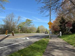 Speed cushions along Lake Washington Boulevard have reduced speeding on the street, according to a 2024 traffic study. File photo