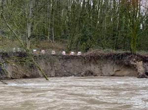 The flood in 2020 caused large amounts of the embankment of the Cedar River to wash away in places. Photo courtesy of the city of Renton
