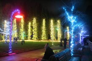 Photos by Bailey Jo Josie/Sound Publishing