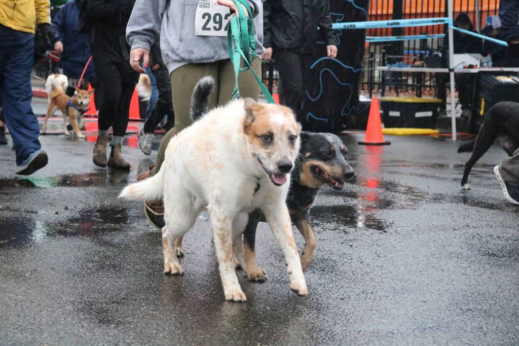 Photos by Bailey Jo Josie/Sound Publishing