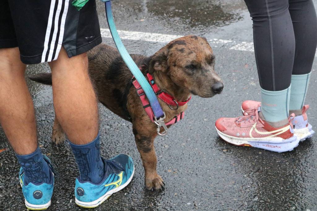 Photos by Bailey Jo Josie/Sound Publishing