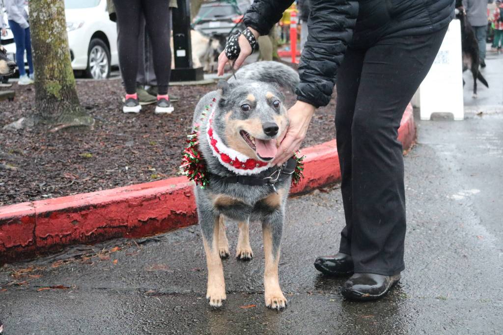 Photos by Bailey Jo Josie/Sound Publishing