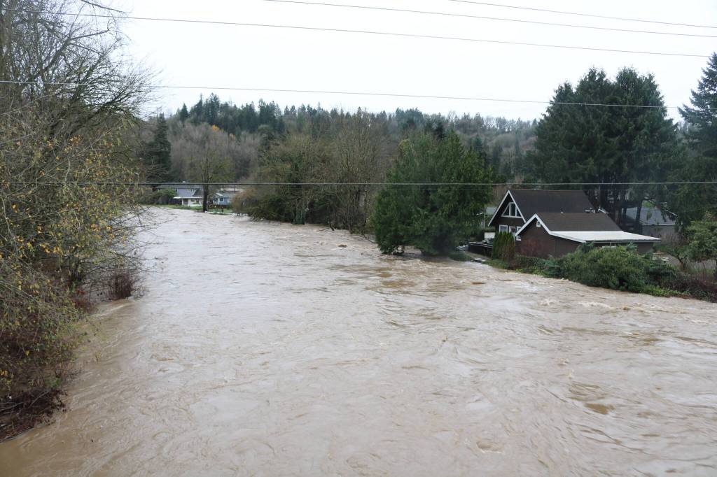 The view of the Maplewood neighborhood from the Cedar River Trail on Thursday. Neighbors worked tirelessly to keep the water from breaching the homes. Photo by Bailey Jo Josie/Sound Publishing.