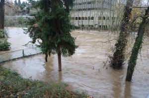 The Cedar River at the Renton Library on Thursday morning, Dec. 11. Photo by Bailey Jo Josie/Sound Publishing
