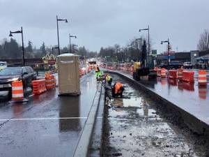 Crew members installing a root barrier at the median island on Rainier Avenue. Photo provided by the city of Renton