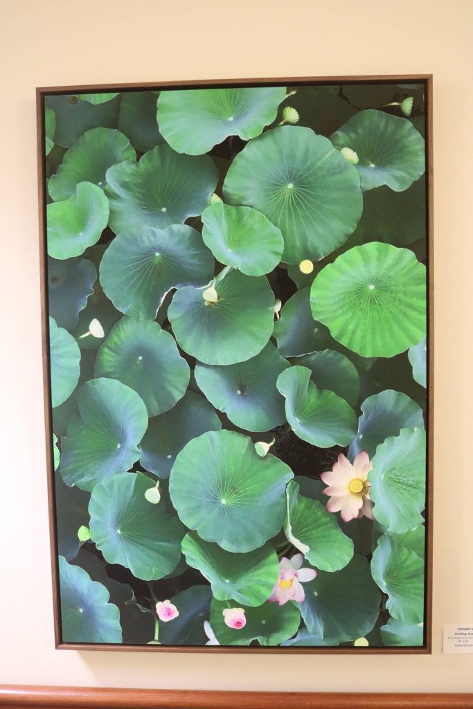 Rustling, Osaka, Japan by Kayako Sareen. Photo by Bailey Jo Josie/Sound Publishing