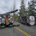 Photos of the scene of the crash. Courtesy of the Renton Police Department.