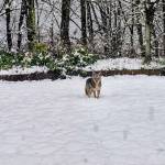 Photo courtesy of Jill Veatural