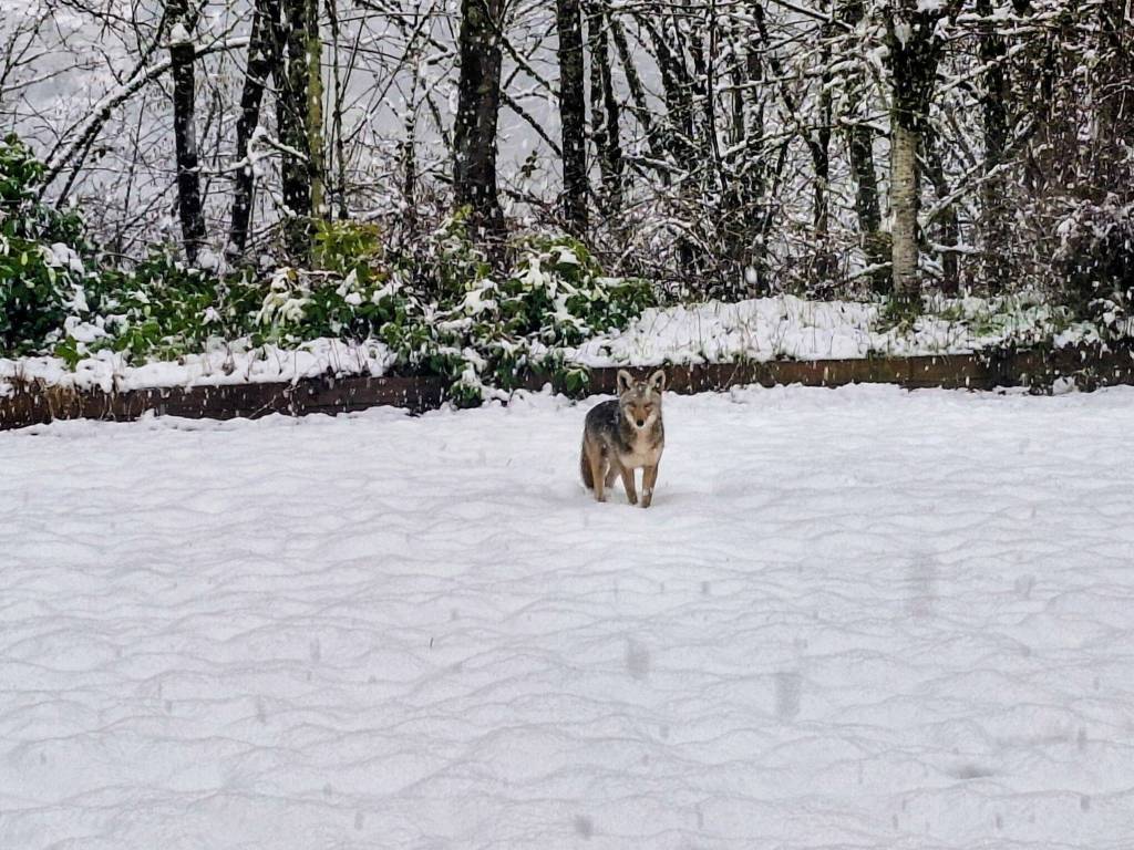 Photo courtesy of Jill Veatural