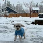 Photo courtesy of Kim George