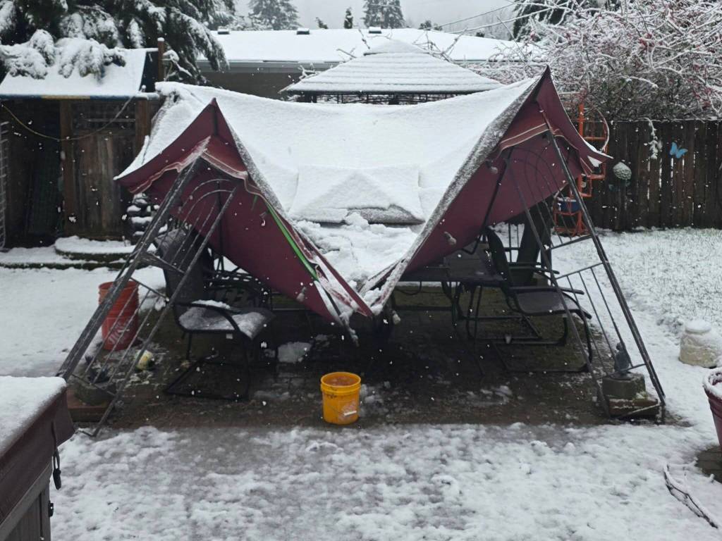 Photo courtesy of Tara Buck