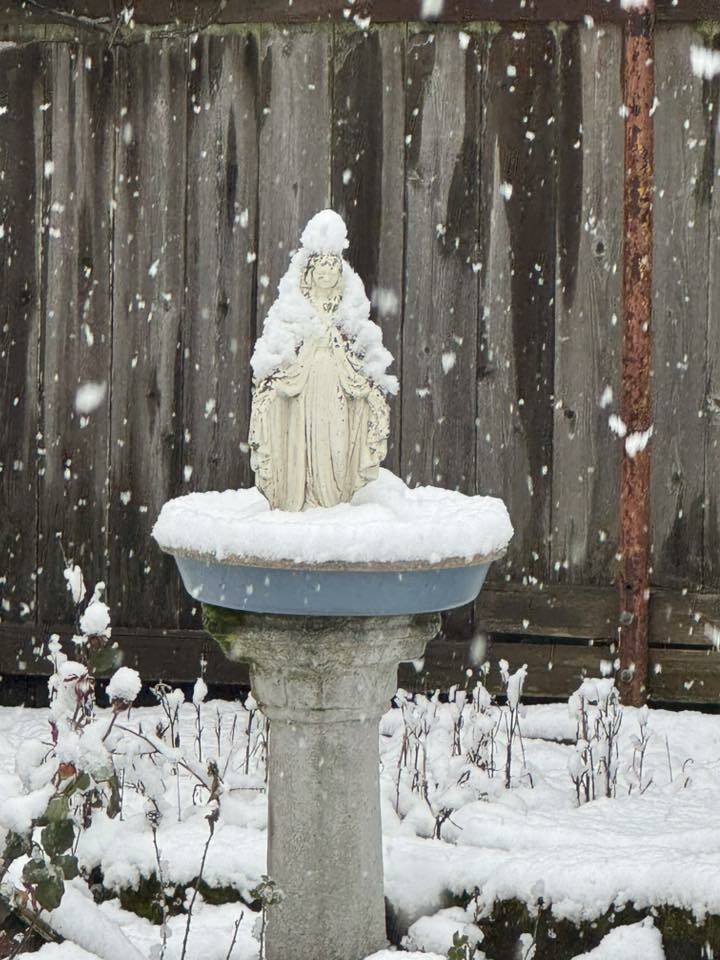 Mother Mary statue covered in snow on March 13, 2026. Photo courtesy of Marge Galayda Lindberg